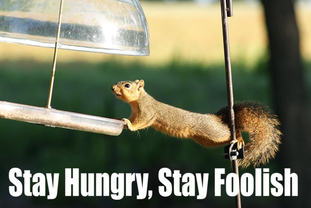 Video of the Week – Stay Hungry Stay Foolish