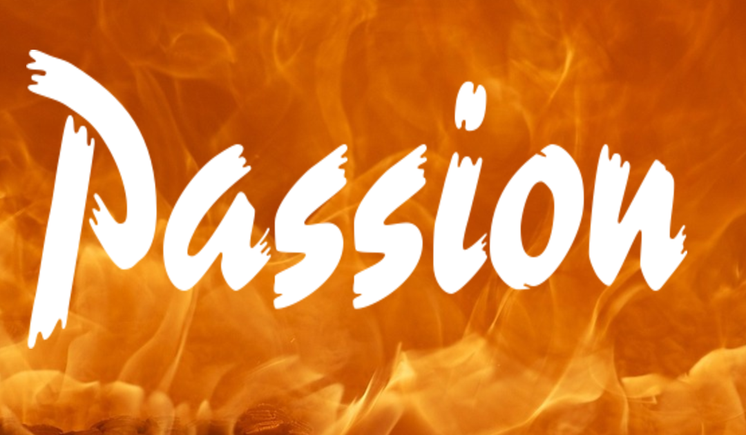 Video of the Week – Passion: The Secret Ingredient to Success