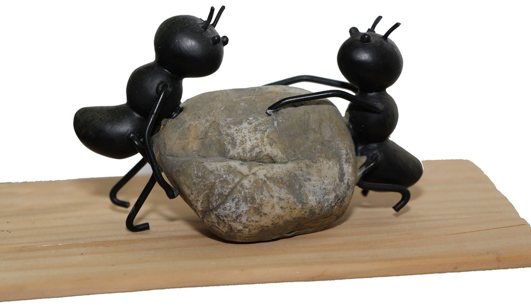 4 Reasons You Should Think Like an Ant