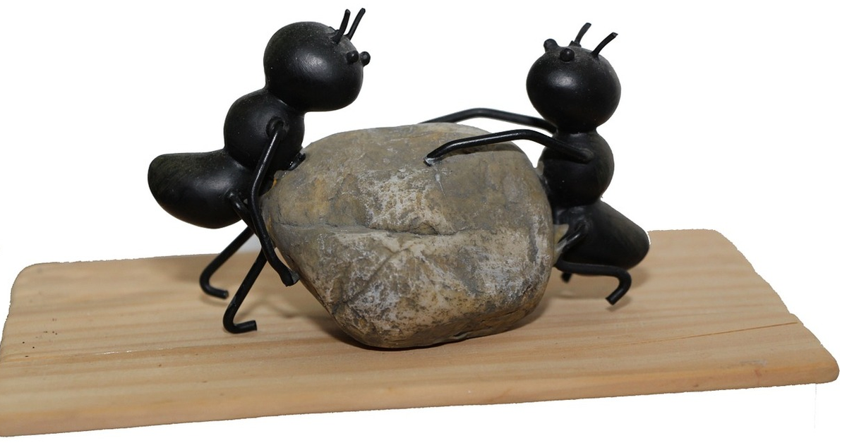 Think Like an Ant