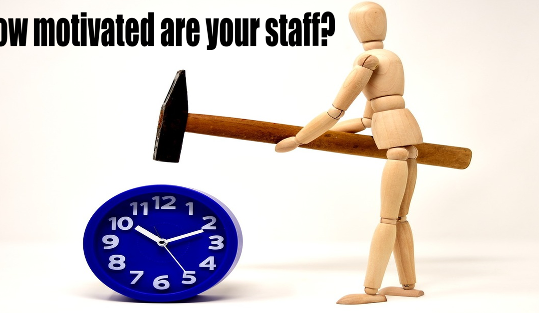 How Motivated are your staff?